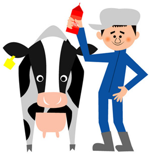 酪農・牛乳の知識イメージ画像