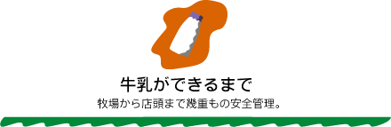 牛乳ができるまで